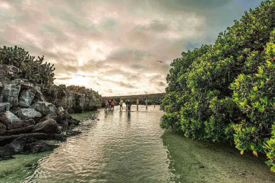 Darwin Bay, Genovesa Island, Galapagos Islands