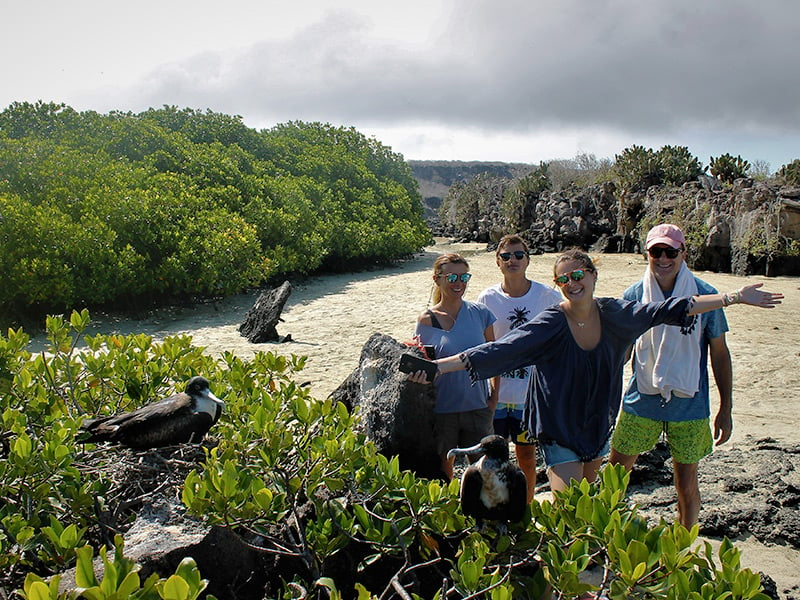 Guests spot frigatebirds in the Galapagos