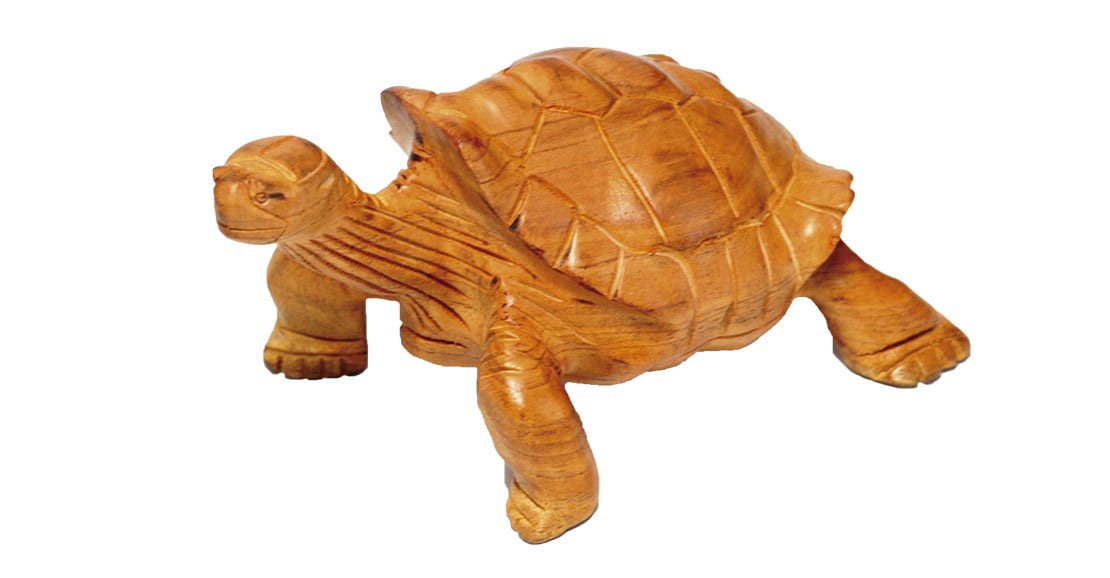 Wooden Galapagos giant tortoise