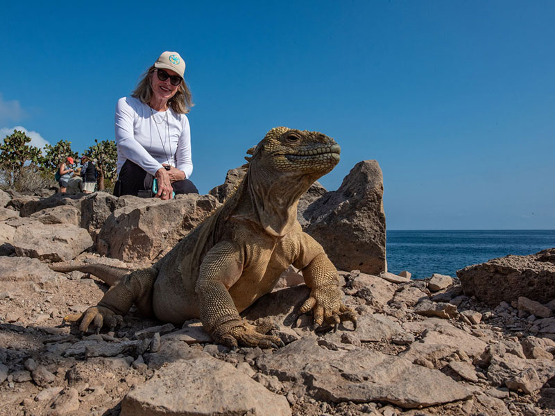 Guest with a Santa Fe Iguana