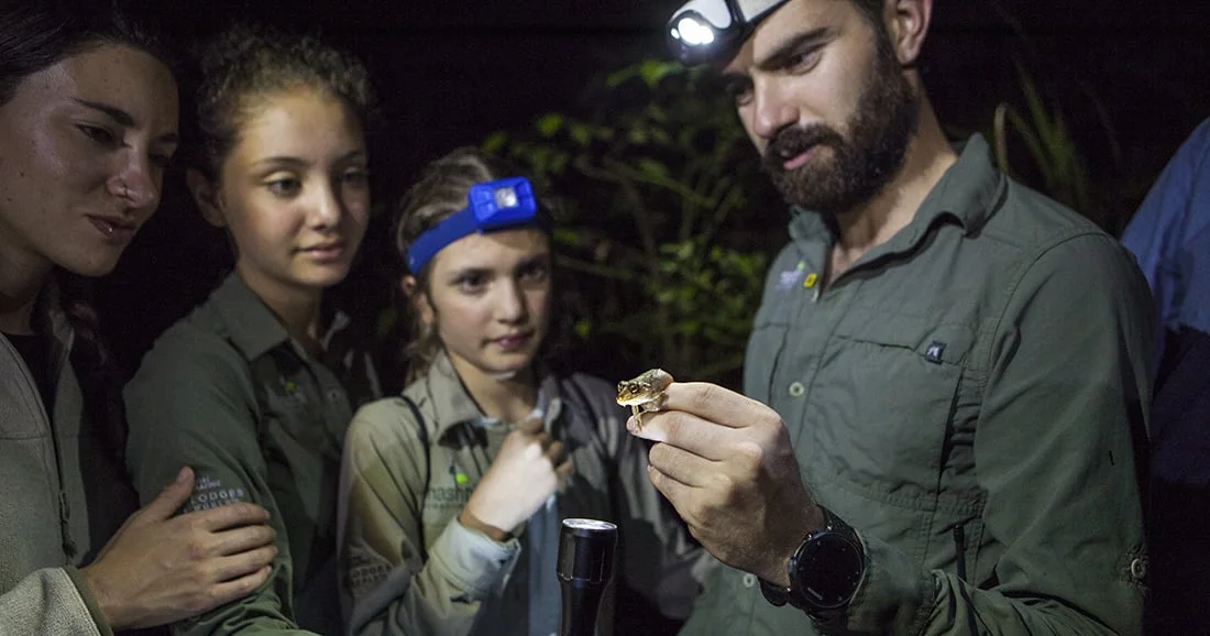 Guided night exploration at Mashpi Lodge with Yacht La Pinta, observing nocturnal wildlife.