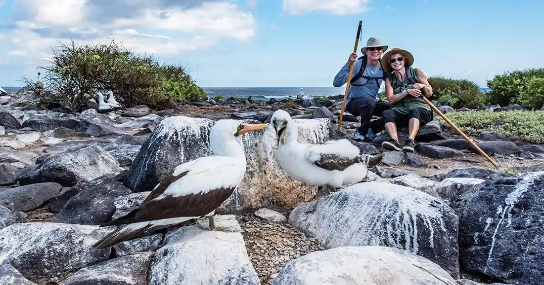 nazca-booby-punta-suarez-galapagos-islands-easter-itinerary