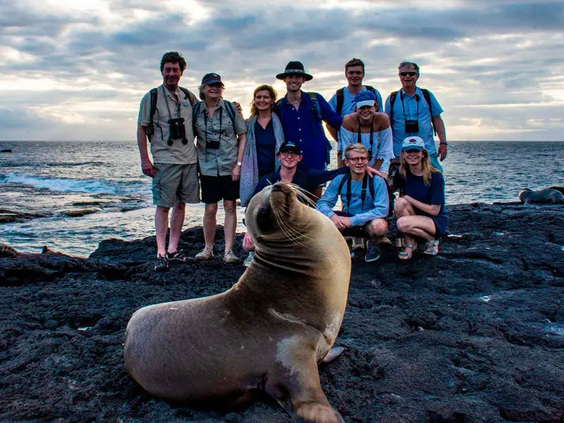 sea-lion-guests-galapagos-islands-ecuador