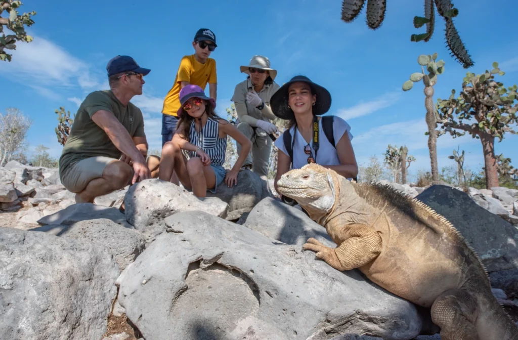 Una familia de cuatro personas se agacha para observar de cerca una iguana terrestre de Galápagos en un terreno rocoso con cactus de nopal al fondo.