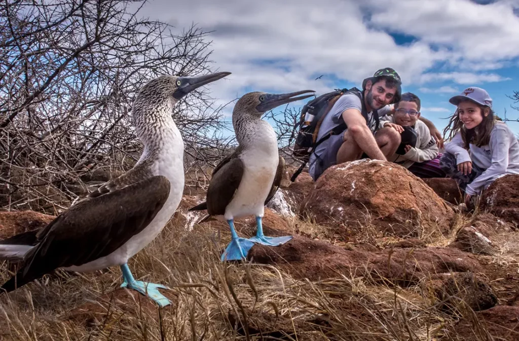 Guests observing blue-footed boobies up close on North Seymour Island