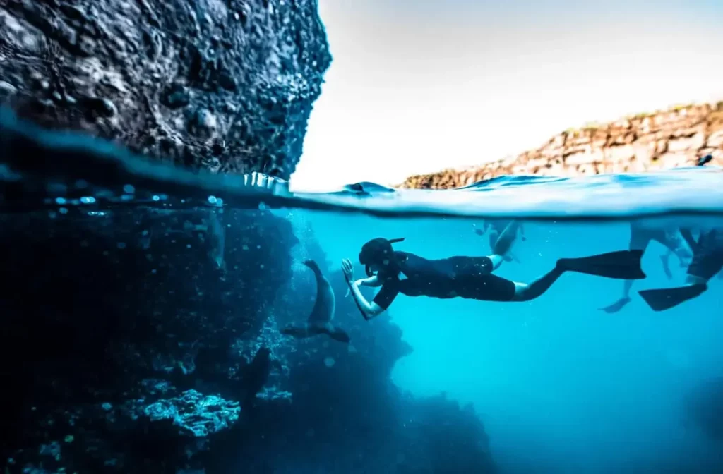 Split underwater view of a snorkeler diving alongside a Galapagos sea lion beneath a volcanic rock formation in crystal clear blue water.